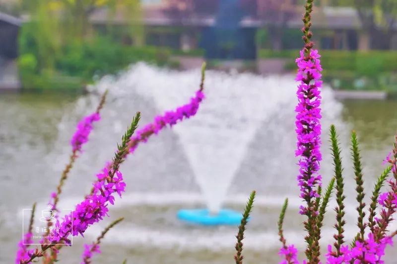 北京春晖园温泉度假酒店预订价格,春晖园温泉度假酒店门市价格多少