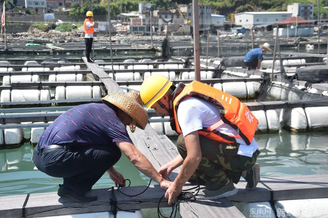 玛利亚台风最新消息,玛利亚的暴风雨