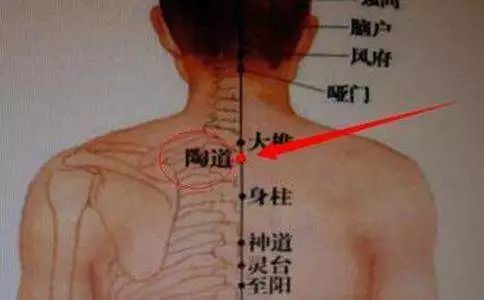 每日一穴阳辅穴,感冒一穴和感冒二穴