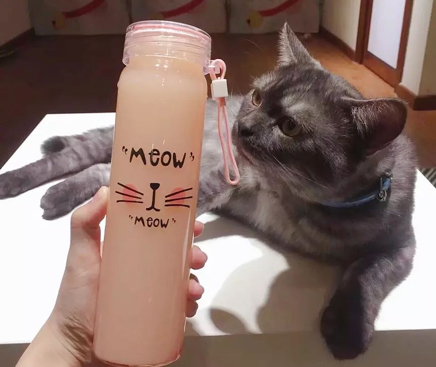 环境优雅又有情调的咖啡馆,五一必打卡意式咖啡厅推荐