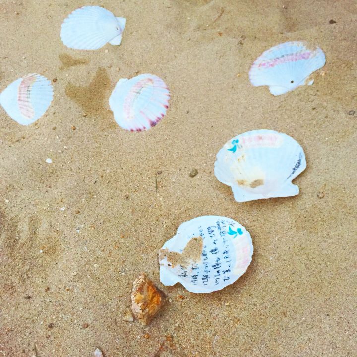 日本周边小众景点有哪些,日本热门城市各有哪些景点