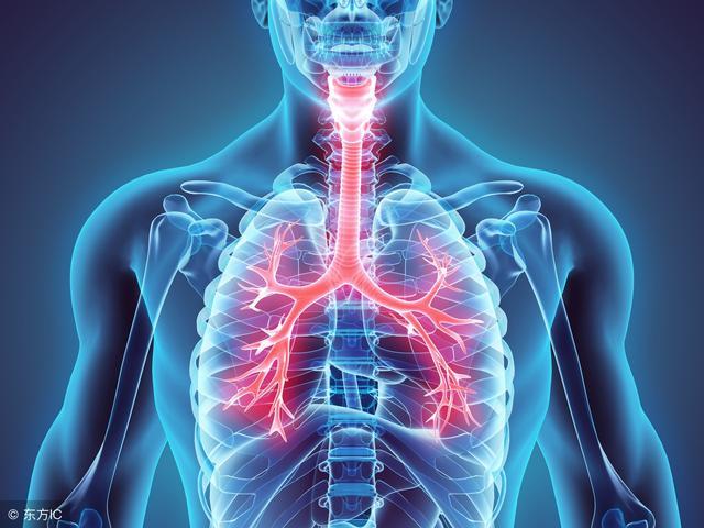 支气管炎对身体危害有哪些,双肺细支气管炎有什么危害