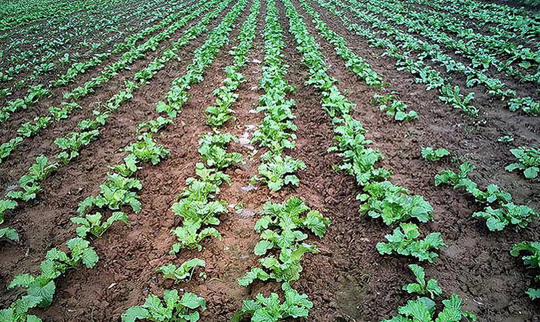 沈阳沈城最好玩的地方,周末沈阳旅游攻略
