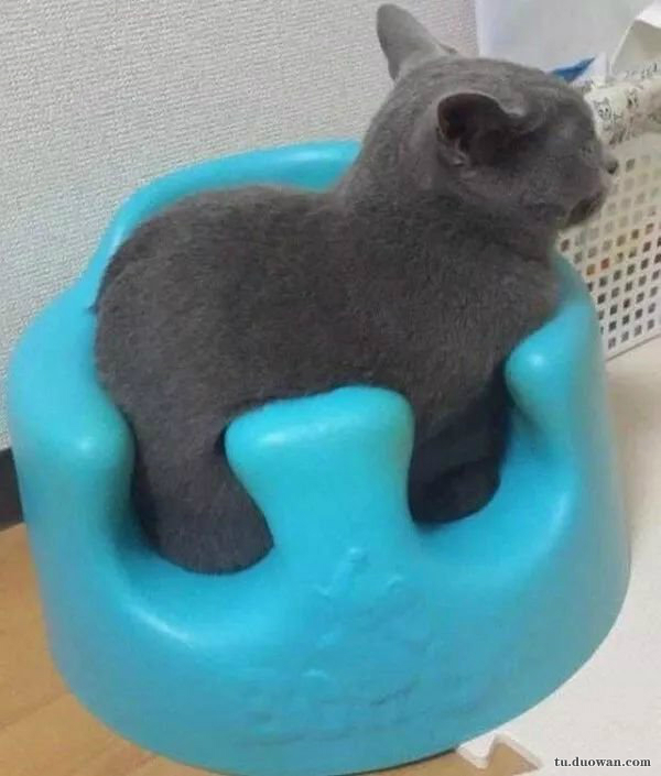 赢在起跑线上的孩子视频搞笑,萌娃发量惊人好像蒙奇奇