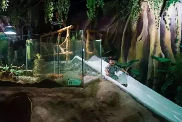 武汉下雨推荐去的地方,武汉室内凉快玩的地方