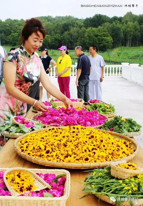 走进伊春的南大门,铁力给你一个不一样的夏天