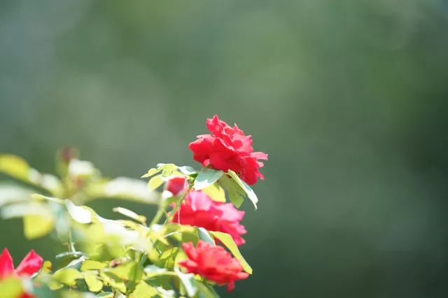 有了它再也不担心熬夜,有了它不愁吃不愁穿