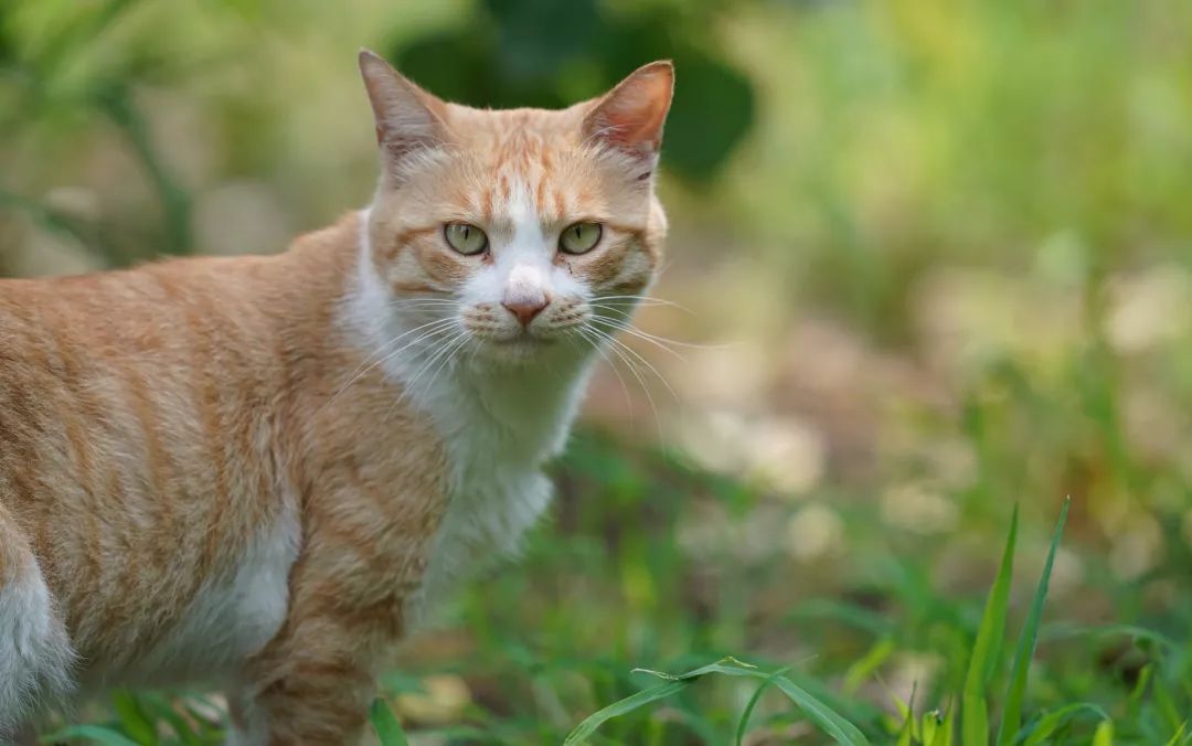 有了它再也不担心熬夜,有了它不愁吃不愁穿