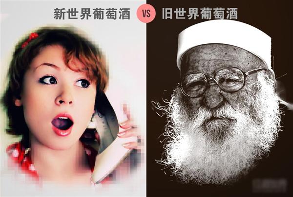 小白如何快速掌握红酒知识,你必须知道的红酒知识与红酒文