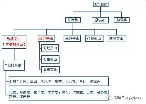 喝了好多年的普洱茶,喝了三年的普洱茶