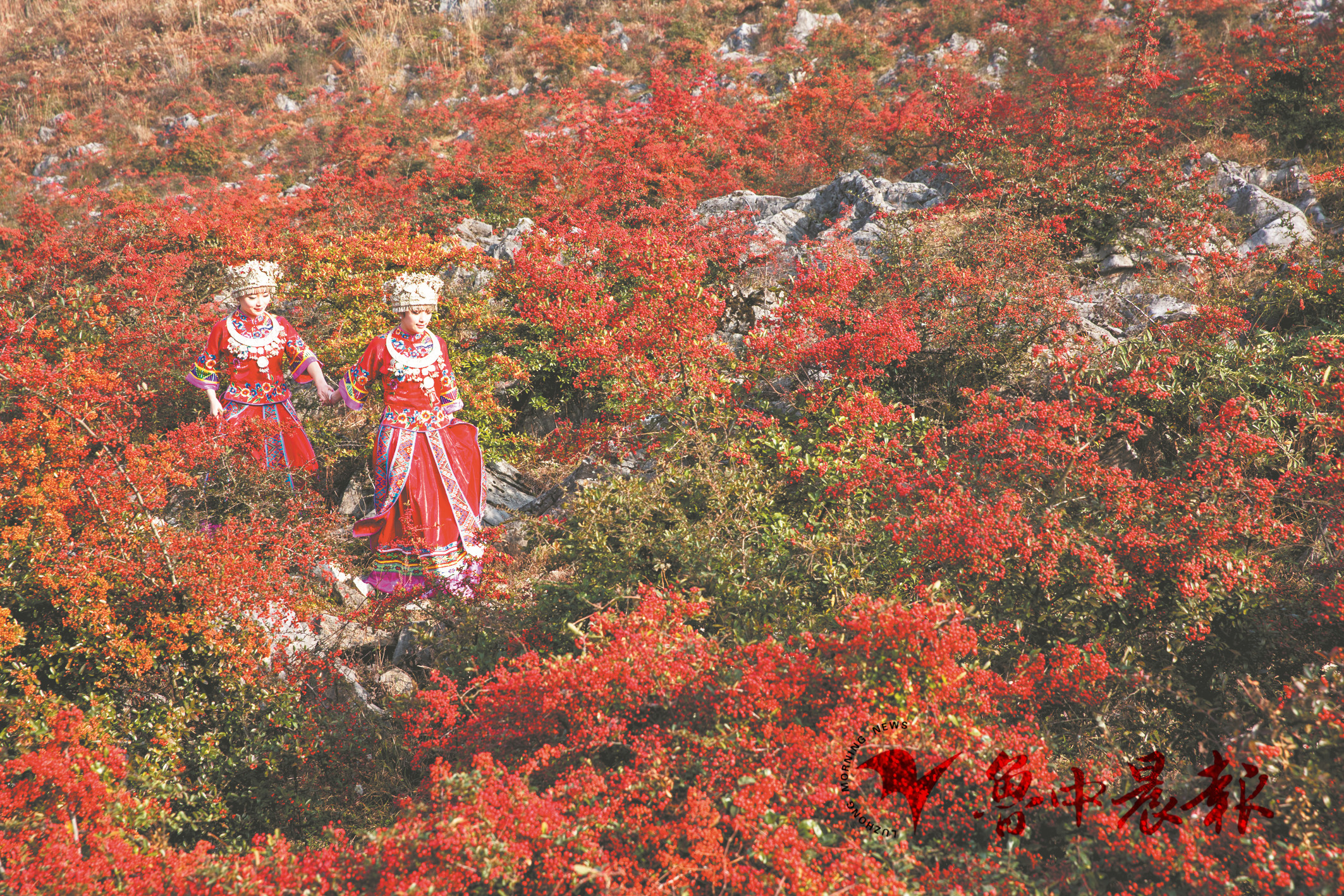 淄博为城市发展添活力,淄博旅游业作用