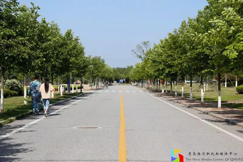 青岛港湾职业学院报考条件,青岛高考志愿填报推荐