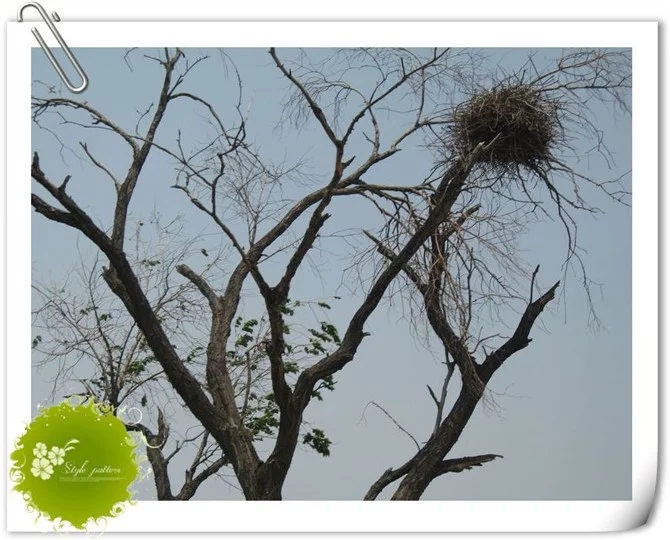 不同年龄段的童年回忆,你们的童年回忆是什么样
