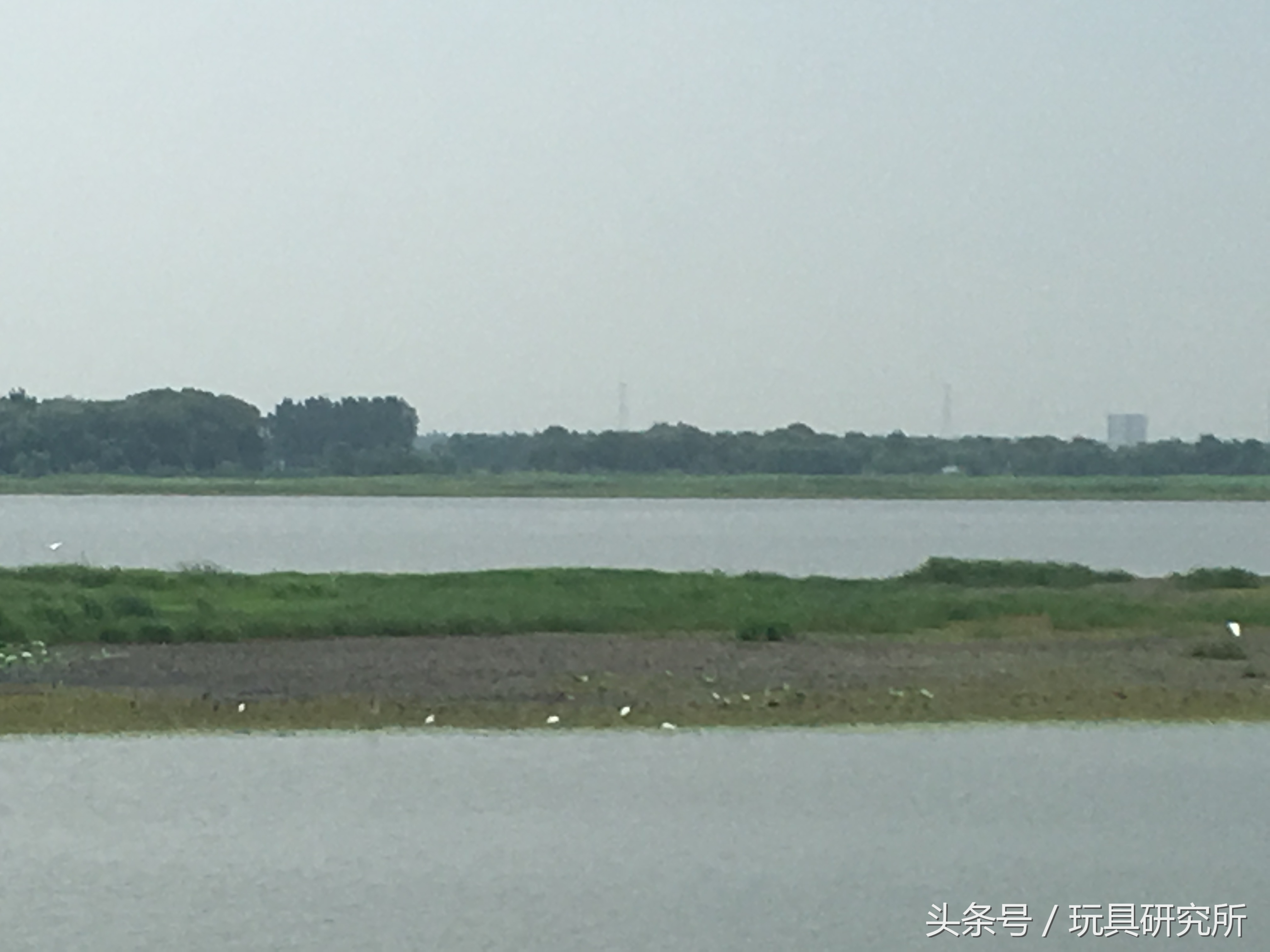 辽中珍珠湖看荷花带着孩子去哪儿玩珍珠湖环湖游沈阳周边游