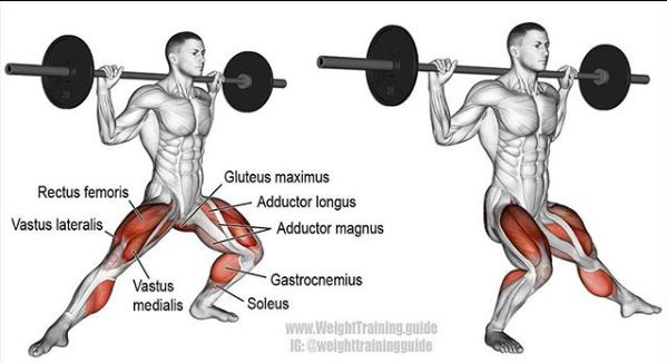 综合健身锻炼肌肉的正确方法,基础健身肌肉训练方法