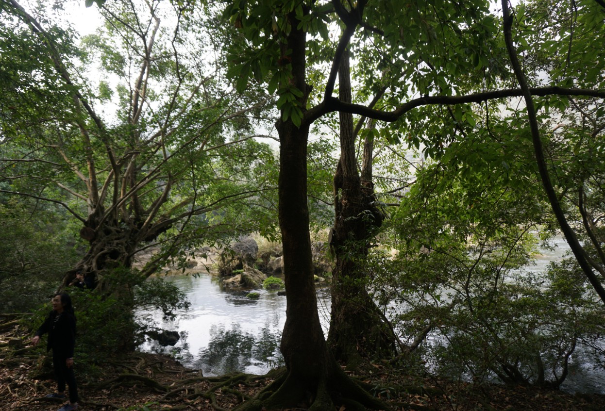 多彩贵州行——黄果树风景区之灵魂玲珑秀美“天星桥”