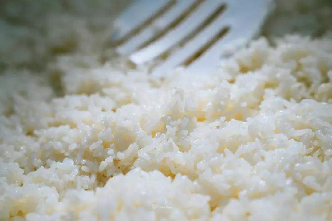 现在最火的网红寿司专门店,最近很火的网红寿司店