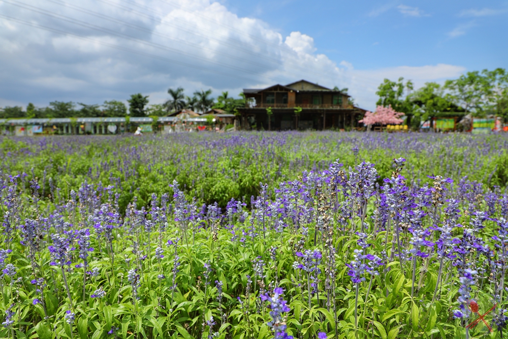 暑假带孩子逛公园,带孩子玩跳楼