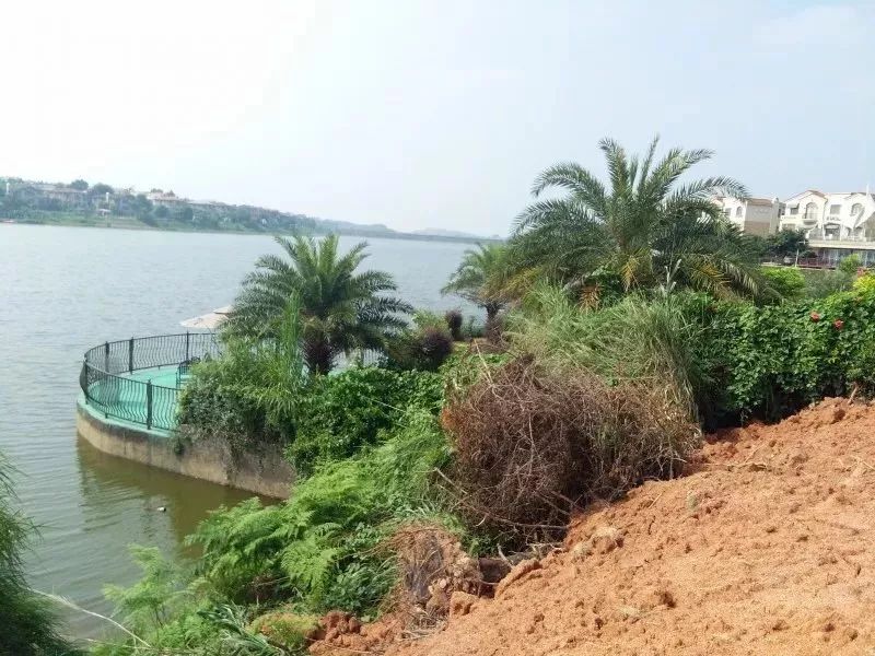 清城石角镇这批业主有点牛!水库边上建起了景观台、私家花园……