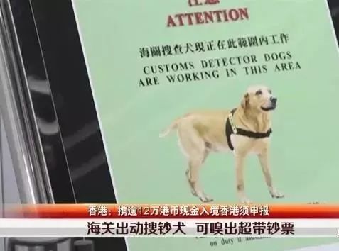 入境香港最新通关政策官方,香港逗留超过7天会罚款多少