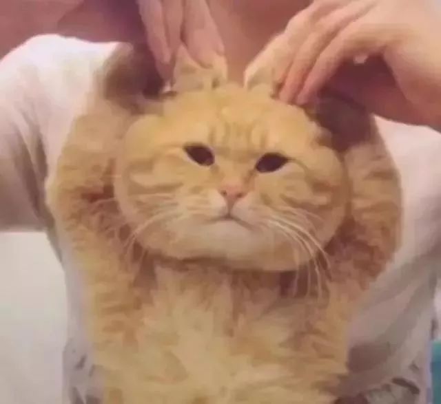 香港7月通关政策,第一次去香港哪些是违规罚款的