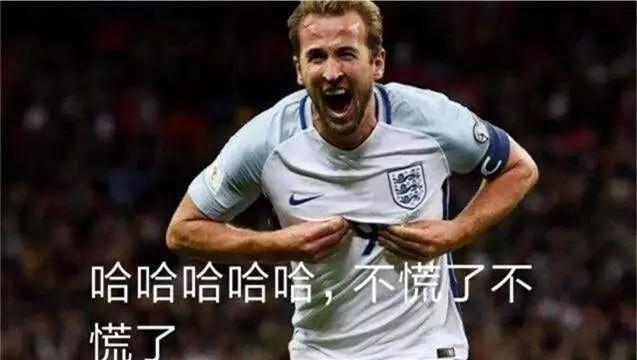 关于世界杯搞笑说说,世界杯十大搞笑段子