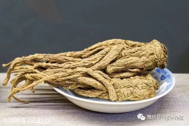 中西药别随便合用,哪些中西药不能同服