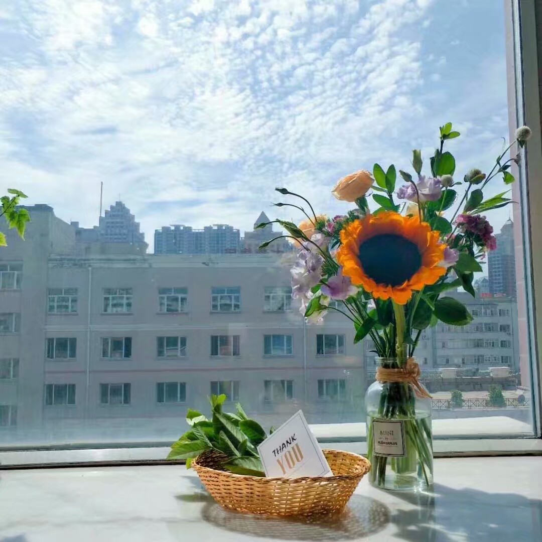 每日一花之向日葵