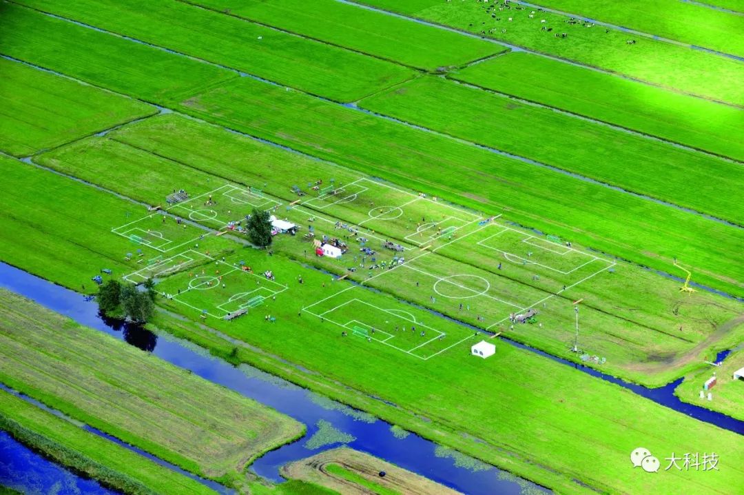 世界上最奇葩的酒店,世界上最奇葩的食物