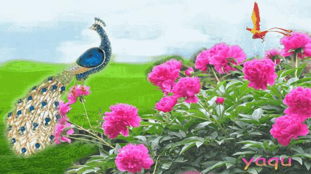 快乐的周一和朋友逛街,朋友周一快乐