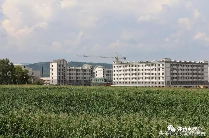 四中学校死人案,四中学校学生死亡事件