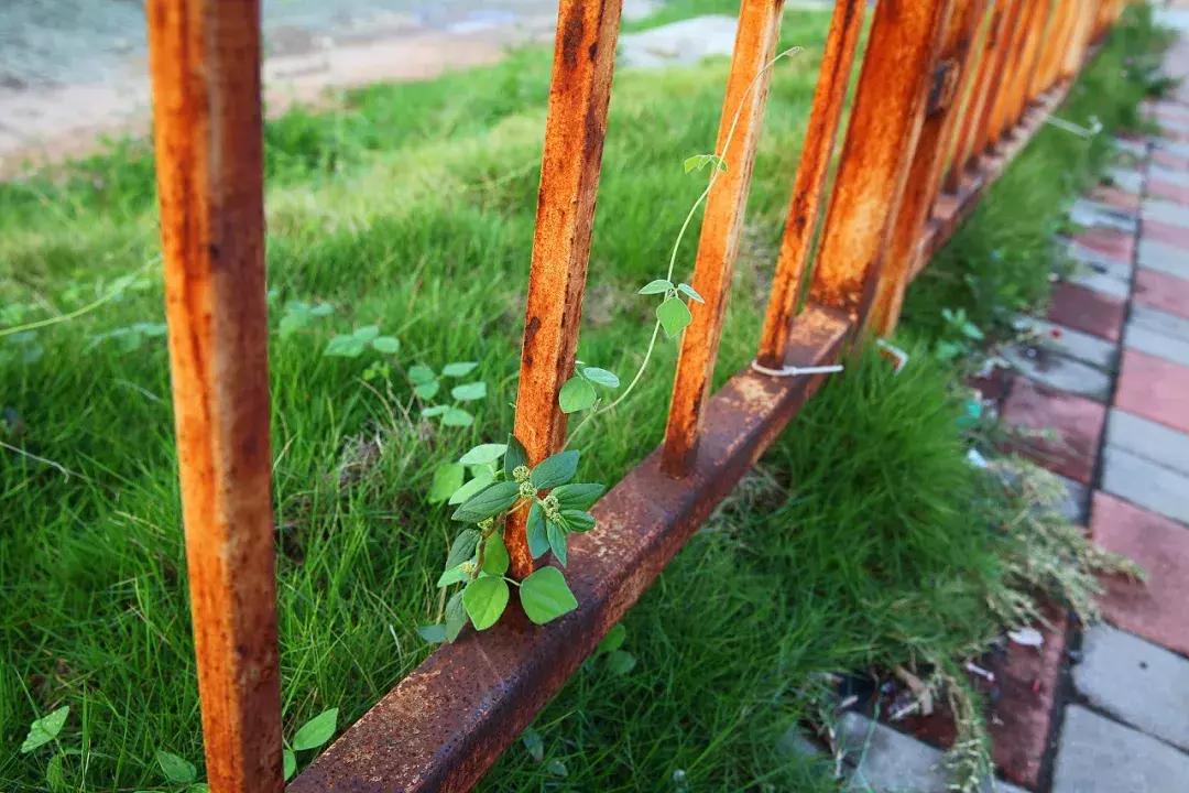 钢铁生锈如何除锈,钢铁为什么会锈蚀以及如何防止