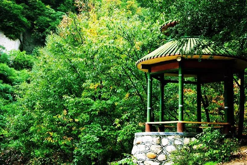 比较凉快国内旅游推荐冷门景点,十大最值得自驾游的地方