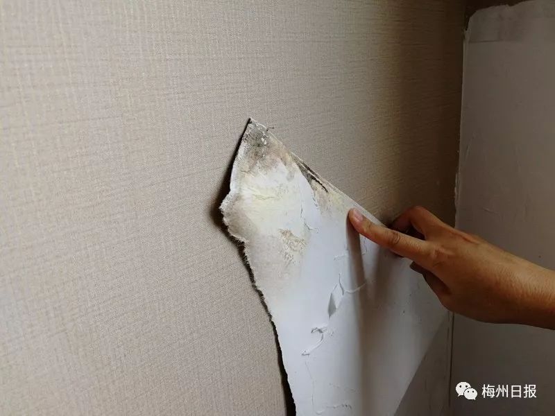 恒大御景半岛的房子什么样,恒大御景半岛精装房好吗