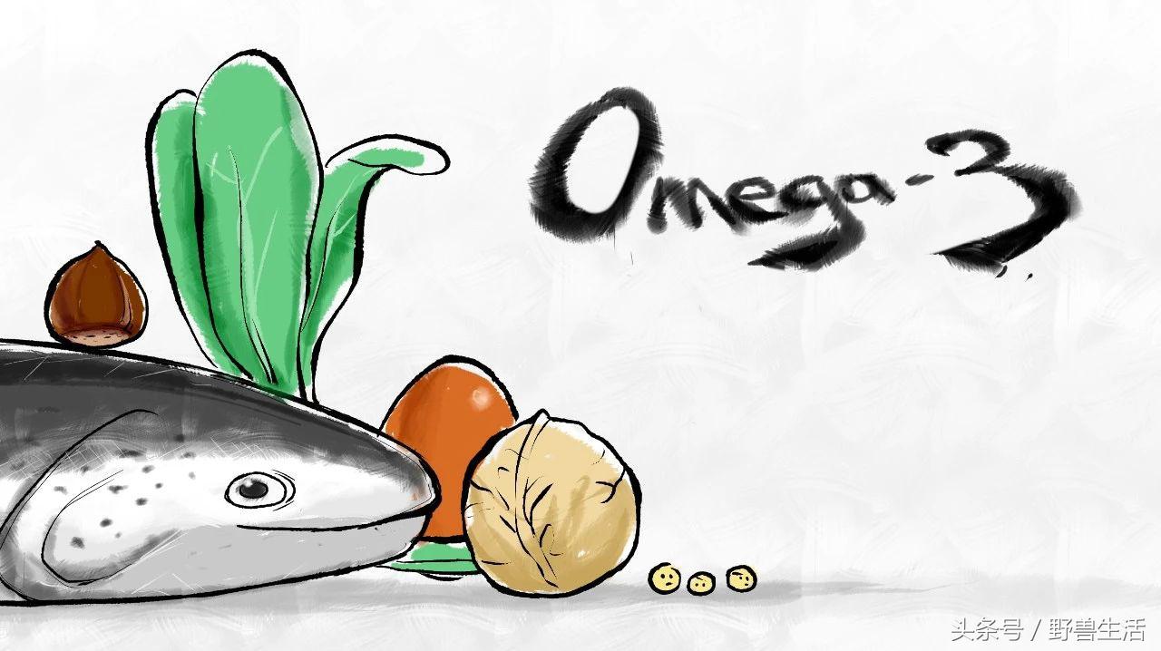 世界上有哪些人类禁地,世界上有秘境吗