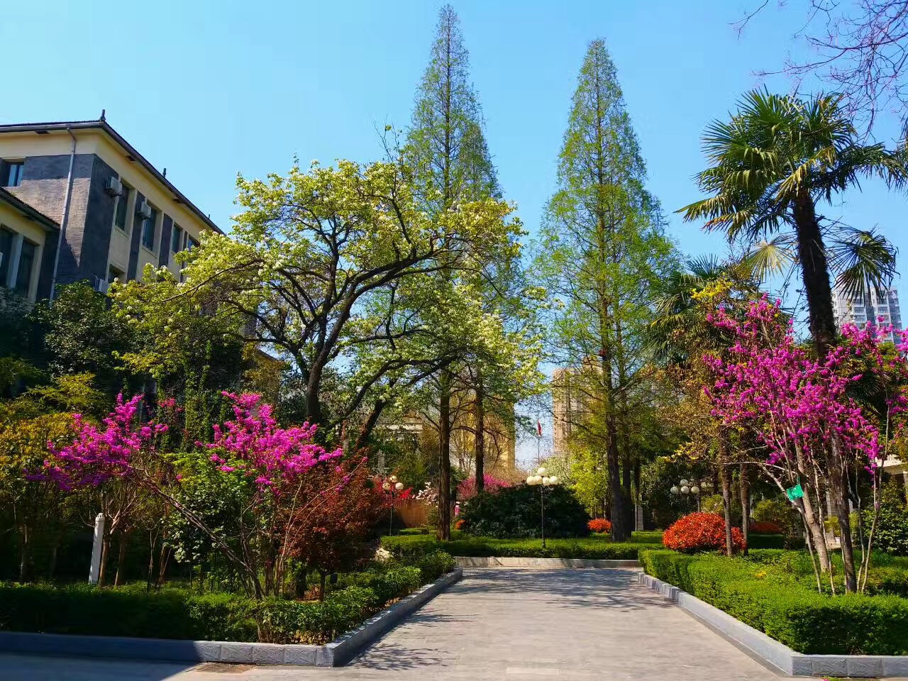 西安市第十中学招生条件,西安市第十中学省示范