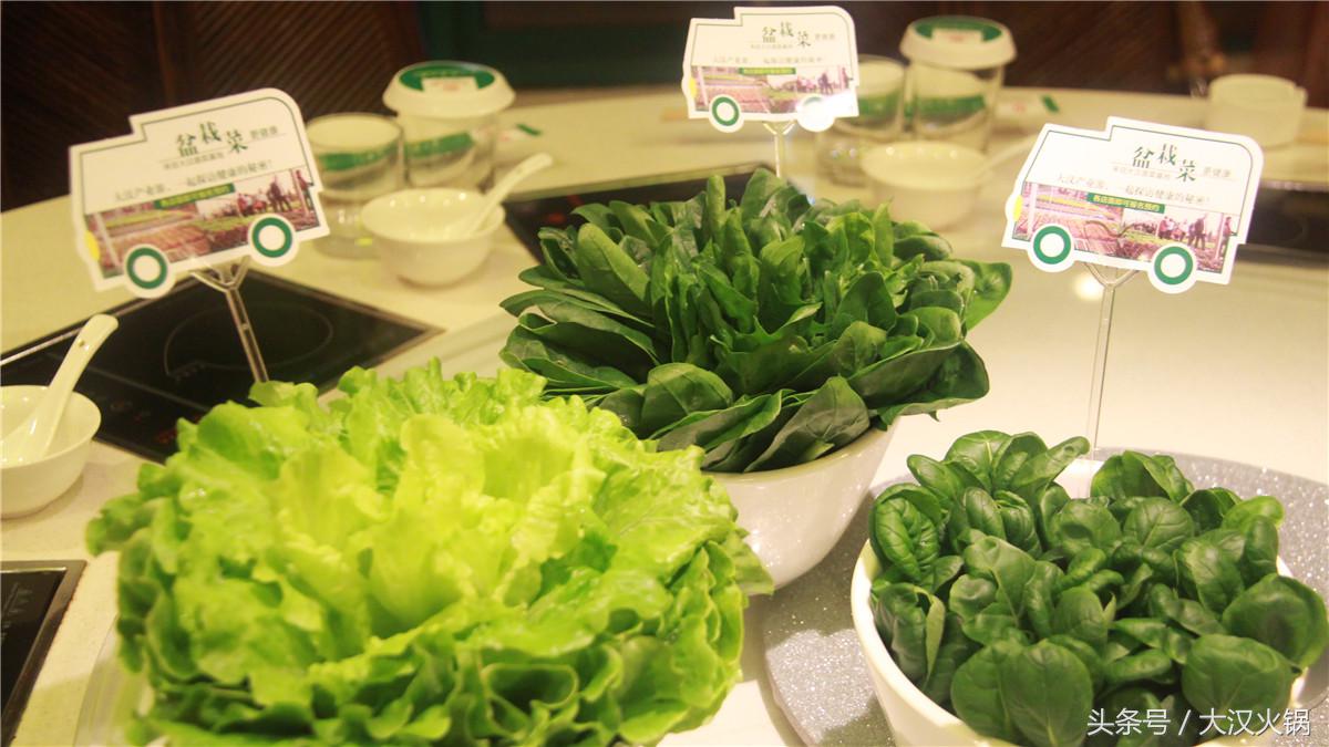 田园采摘小菜园,纯天然绿色小菜园采摘