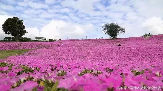 亲子牧场的标杆，看看这家年入2亿的母亲牧场是怎么做到的