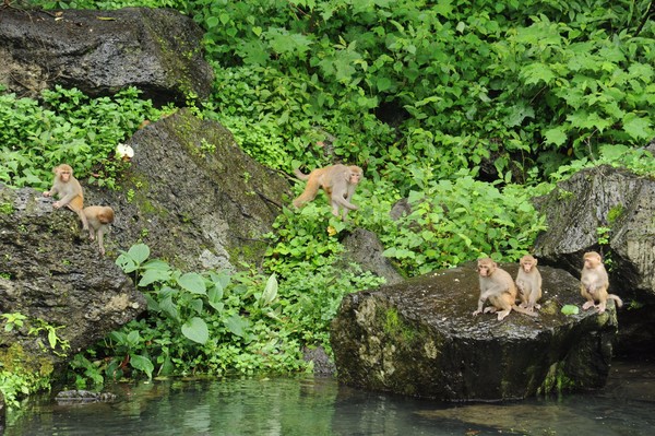 腾冲凤凰宝集泡温泉,腾冲民宿泡温泉推荐