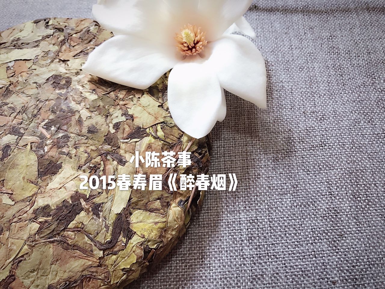 喝老白茶的评语,喝了这么多年的白茶