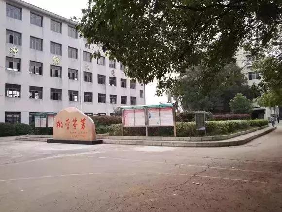 衡阳茅洞桥，我难忘的根据地！