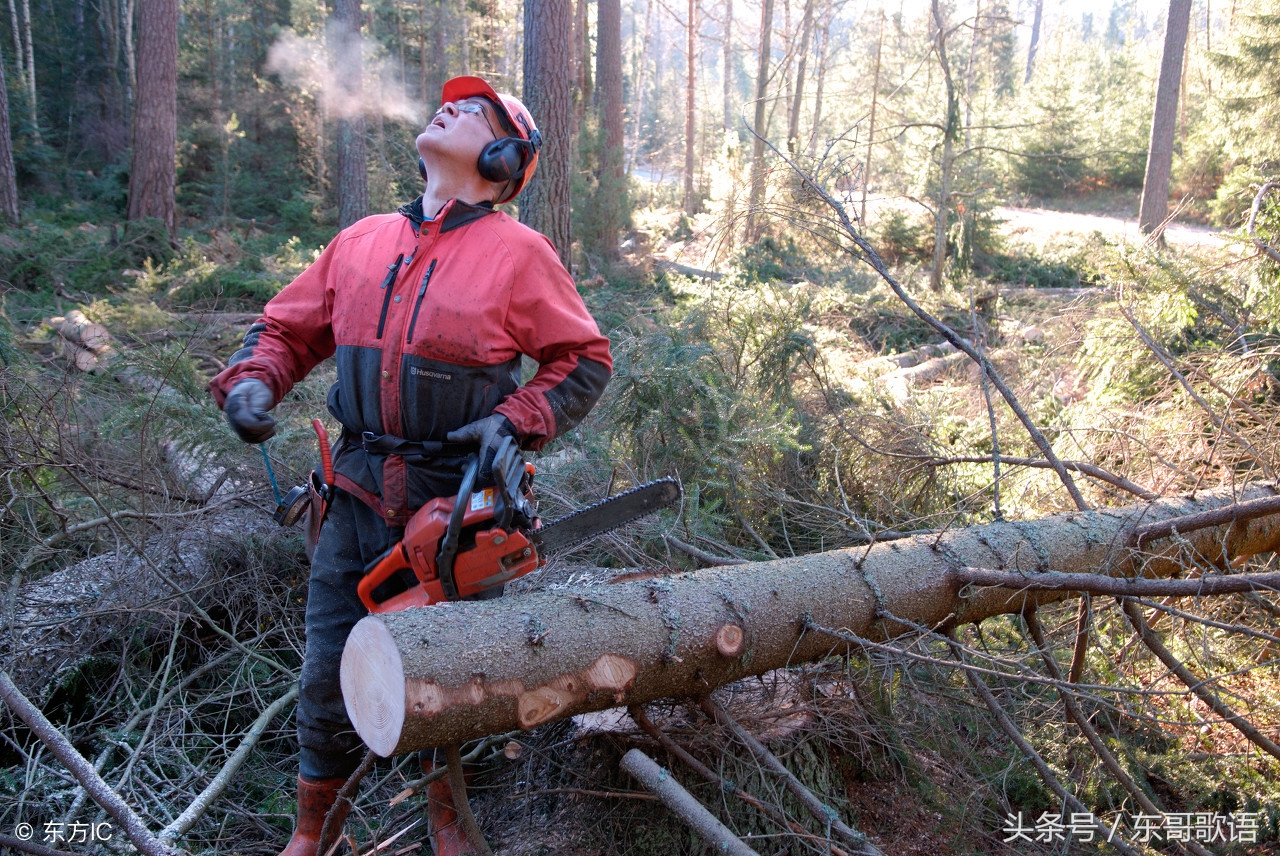 民间故事保家仙,民间故事被冤枉的保家仙