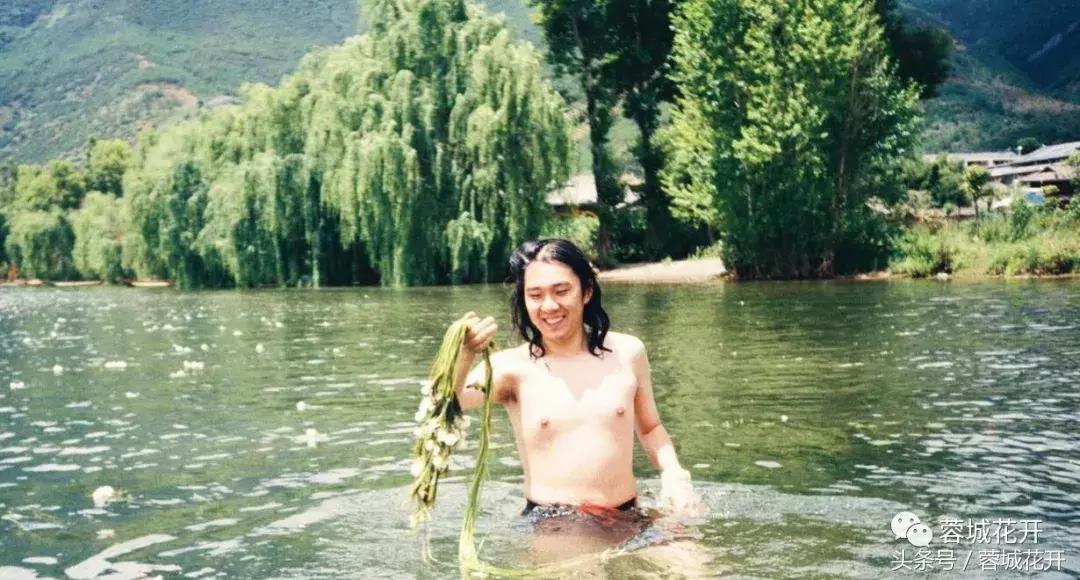 蓉城花开夏日清凉,蓉城花开的日子