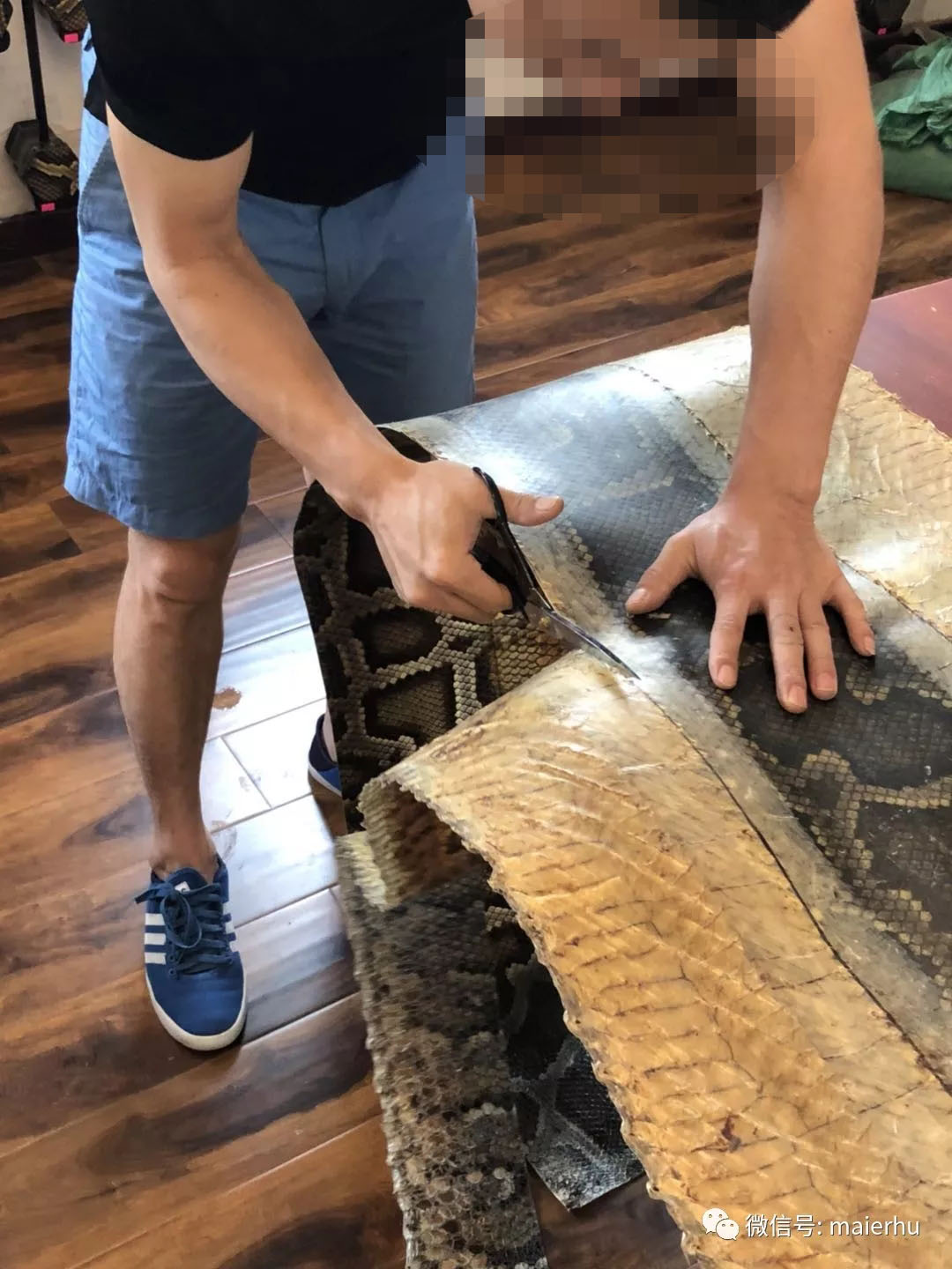 购买二胡怎样挑选,购买二胡