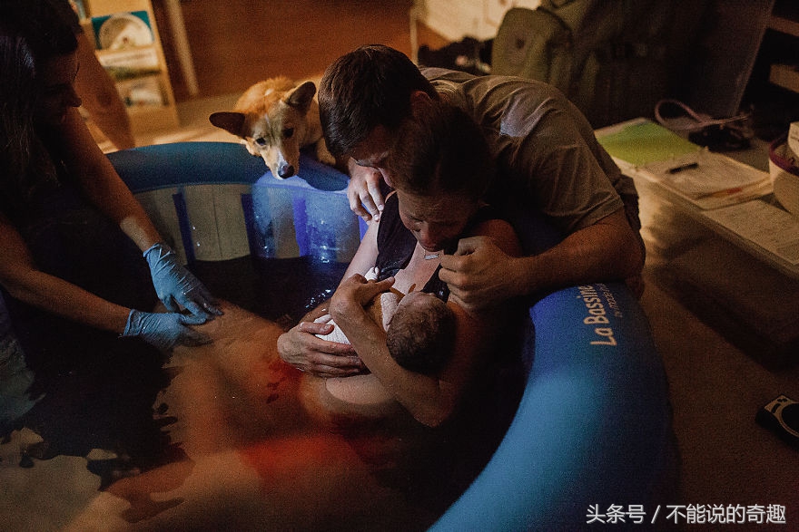 可能你不会知道你家里的这些“家人”是如此的深爱着自己