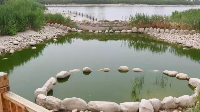 又多又好玩的旅游地方,又大又好玩的公园