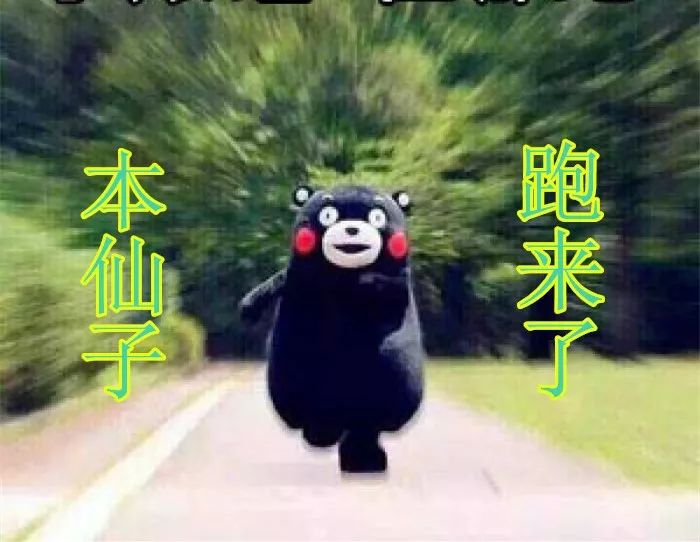 又多又好玩的旅游地方,又大又好玩的公园