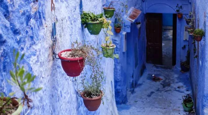 2023年全球免签一览表,最新落地签免签国家