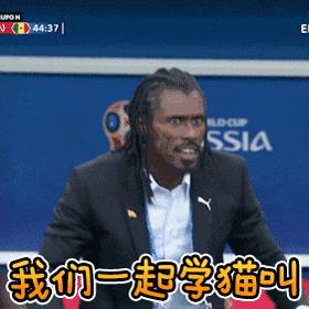 这届世界杯你们亏了多少,世界杯你们输了多少