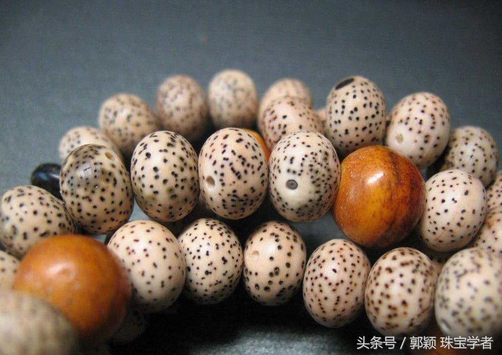 星月菩提的种类和盘玩,星月菩提值得盘玩的种类